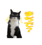 トーフとゆば（個別スタンプ：20）