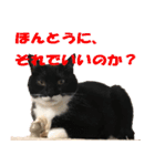 トーフとゆば（個別スタンプ：23）