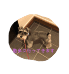 家族のモコ！（個別スタンプ：4）