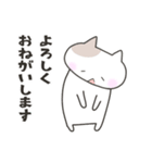 毎日のスタンプ＊ねこ（個別スタンプ：16）