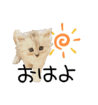 子猫の生活 2020（個別スタンプ：16）