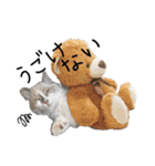 子猫の生活 2020（個別スタンプ：17）