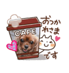うちのキャバリア12（個別スタンプ：30）