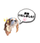 うちのキャバリア12（個別スタンプ：32）