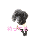 ボクの名前はかふぇ（個別スタンプ：4）