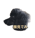ボクの名前はかふぇ（個別スタンプ：5）