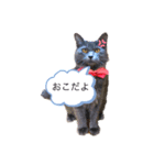 キル君スタンプ（個別スタンプ：2）
