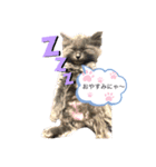 キル君スタンプ（個別スタンプ：3）