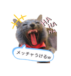 キル君スタンプ（個別スタンプ：5）