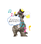 キル君スタンプ（個別スタンプ：6）