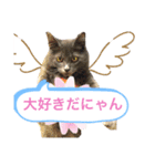 キル君スタンプ（個別スタンプ：7）