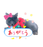 キル君スタンプ（個別スタンプ：8）