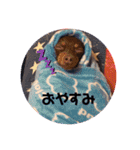 mix犬ララの巻（個別スタンプ：2）