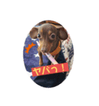 mix犬ララの巻（個別スタンプ：4）