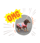 mix犬ララの巻（個別スタンプ：7）