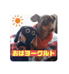mix犬ララの巻（個別スタンプ：8）