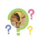 mix犬ララの巻（個別スタンプ：10）
