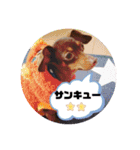 mix犬ララの巻（個別スタンプ：11）