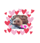 mix犬ララの巻（個別スタンプ：15）