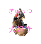 だいちゃんんん2（個別スタンプ：12）