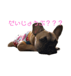 だいちゃんんん2（個別スタンプ：20）