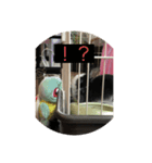 ウサギダン・・（個別スタンプ：5）