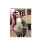 ウサギダン・・（個別スタンプ：8）