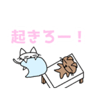 サトニャン（個別スタンプ：5）