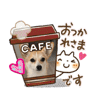 チワワコーギーのミルク（個別スタンプ：10）