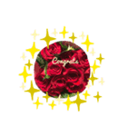 薔薇と共にメッセージを伝える実写スタンプ（個別スタンプ：6）
