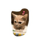 ゆりにゃんの日常（個別スタンプ：15）