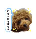 むぎっこのスタンプ（個別スタンプ：5）