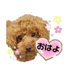 むぎっこのスタンプ（個別スタンプ：11）