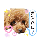むぎっこのスタンプ（個別スタンプ：14）