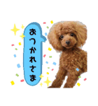 むぎっこのスタンプ（個別スタンプ：16）