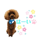 むぎっこのスタンプ（個別スタンプ：20）