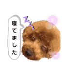 むぎっこのスタンプ（個別スタンプ：24）