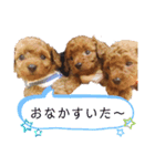 むぎっこのスタンプ（個別スタンプ：26）
