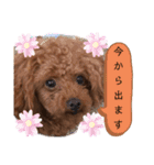 むぎっこのスタンプ（個別スタンプ：27）