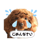 むぎっこのスタンプ（個別スタンプ：28）