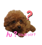 むぎっこのスタンプ（個別スタンプ：30）