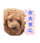 むぎっこのスタンプ（個別スタンプ：31）