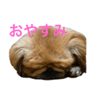 そらももちゃんスタンプ（個別スタンプ：2）