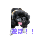 そらももちゃんスタンプ（個別スタンプ：3）
