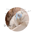 私による私の為だけの推しスタ（個別スタンプ：5）