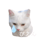 私による私の為だけの推しスタ（個別スタンプ：6）