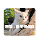 私による私の為だけの推しスタ（個別スタンプ：9）