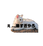 私による私の為だけの推しスタ（個別スタンプ：10）