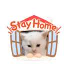私による私の為だけの推しスタ（個別スタンプ：12）