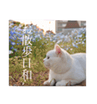 私による私の為だけの推しスタ（個別スタンプ：13）